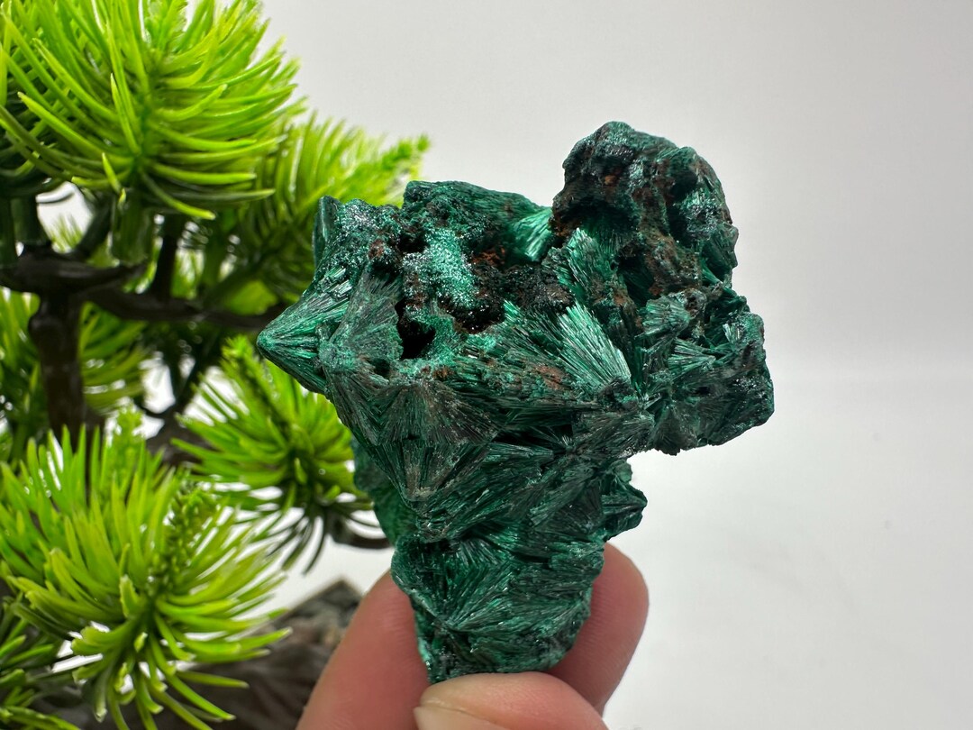 高品質繊維状孔雀石結晶、コンゴ産鉱物標本 - Etsy 日本