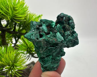コンゴ産 孔雀石 マラカイト 大型標本 球状結晶 高級天然石 鉱物標本　希少品 高品質繊維状孔雀石結晶、コンゴ産鉱物標本 - Etsy 日本