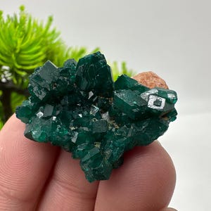 Grüner Dioptas Kristall, Sanda Hills Kongo Mineral