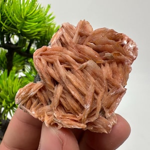 Wunderbarer Baryt mit Cerussit auf Galena aus Marokko, Bleikristall, Bleikristall,Cerussit Kristall,Kristalle, Bleikristall,