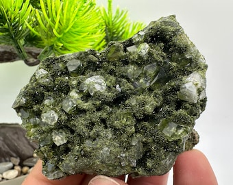 May include: A cluster of green and clear crystals embedded in a dark green matrix. The crystals are sharp and well-defined, with a variety of sizes and shapes. The matrix is rough and textured, with a dark green colour.