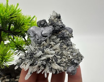 May include: A cluster of clear quartz crystals with gray and silver metallic minerals. The crystals are sharp and pointed, and the minerals are rough and textured.