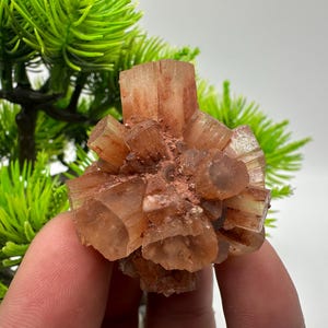 Large Aragonite Sputnik Cluster: Raw Moroccan Crystal Stone