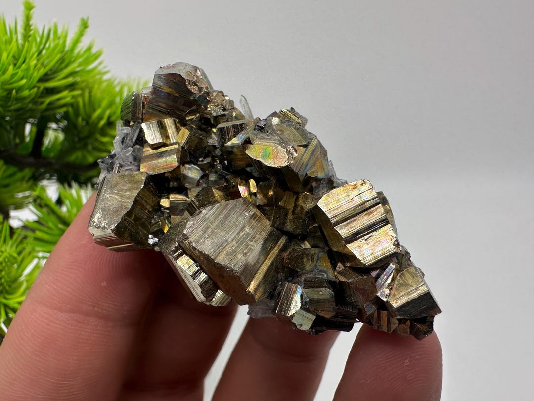 閃亜鉛鉱上の虹色黄鉄鉱、天然鉱物標本 - Etsy 日本