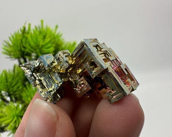 May include: A colorful bismuth crystal with a geometric, stepped structure. The crystal displays iridescent hues of gold, blue, purple, and pink. The background features green foliage and a white backdrop.