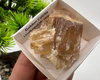 Raw Honey Calcite Crystal: Golden Calcite Stone from Austria