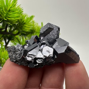 Stunning Galena Spinel Law on Sphalerite,From Borieva mine,Madan,Bulgaria,collection mineral specimen,rare crystal,Galena,Spinel law Galena