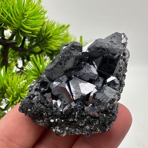 Stunning Galena Spinel Law on Sphalerite,From Borieva mine,Madan,Bulgaria,collection mineral specimen,rare crystal,Galena,Spinel law Galena