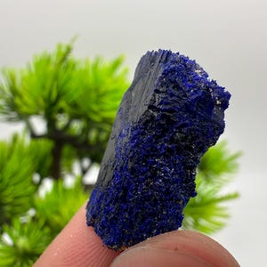 May include: A close-up of a dark blue azurite mineral specimen. The mineral has a rough, textured surface with a deep blue colour. The background is blurred, with green foliage and a white backdrop.