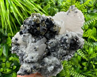 May include: A cluster of clear quartz crystals with black and gold pyrite crystals. The quartz crystals are translucent and have a glassy luster. The pyrite crystals are metallic and have a cubic shape.