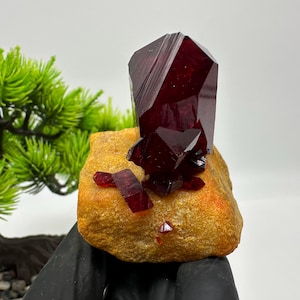 May include: A deep red crystal formation with sharp, geometric facets sits atop a rough, tan-colored rock. Smaller crystals of the same color are scattered around the base. The crystals are a rich, dark red color. The rock has an orange hue.