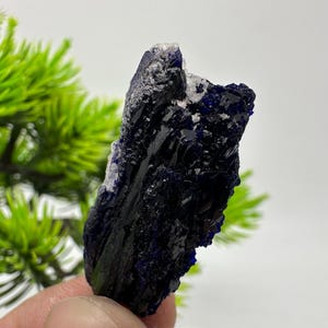 Crystallized Azurite-Kerrouchen,Morocco-Blue Azurite Specimen-High Quality Blue Azurite-Azurite Mineral Specimen, gemmy,lustrous of Azurite