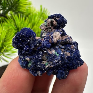 May include: A cluster of azurite crystals, a deep blue mineral, with a rough, textured surface. The azurite is mixed with other minerals, including a light brown and green hue. The background includes green foliage.