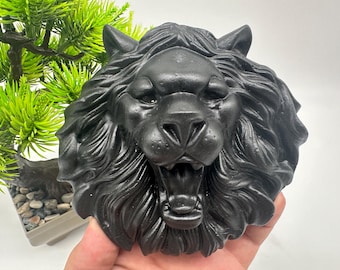Shungite leeuwenkop: feng shui-beschermingssteen