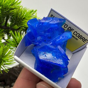May include: A cluster of bright blue copper sulfate crystals in a white box with a yellow label that reads "Sulfato de Cobre".