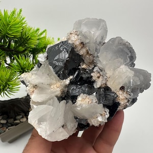 INCREDIBLE,Large Sphalerite,Pyrite,Chalcopyrite,Calcite from Trepca,Kosovo,Trepca Stari Trg Mine,Trepca complex,Trepca valley,Mitrovica