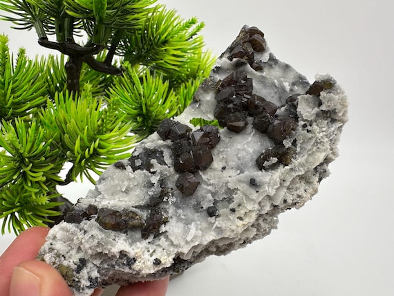 Stunning Gem Sphalerite Cleiopfane rare transparent Green colour on  Chalcedony collection specimen,Cleiopfane rare minerals home decor