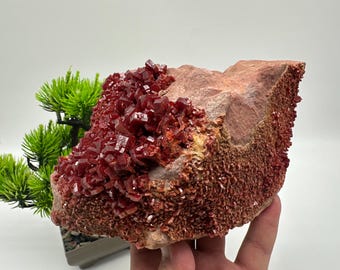 May include: A large red crystal cluster on a rock matrix. The crystals are sharp and well-defined, with a deep red color. The rock is a light brown color.