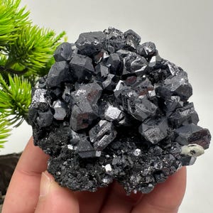 Stunning Galena Spinel Law on Sphalerite,From Borieva mine,Madan,Bulgaria,collection mineral specimen,rare crystal,Galena,Spinel law Galena