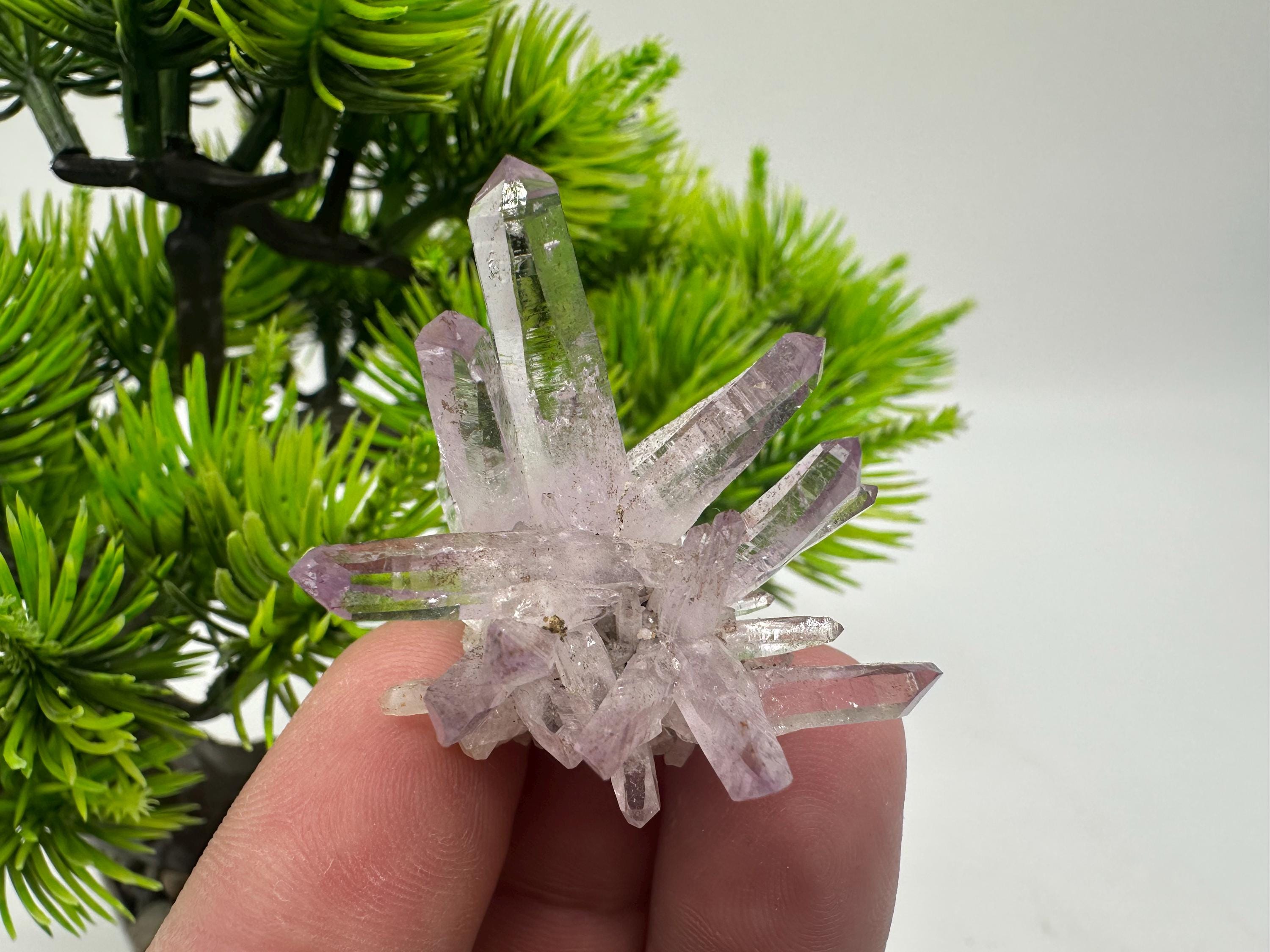 AMETYST Veracruz, Meksyk Kryształowy klaster, Minerały, Kolekcjonerski fioletowy, Okazy minerałów kolekcjonerskich, Minerały ametystu, fioletowy ametyst, kolekcjonerski
