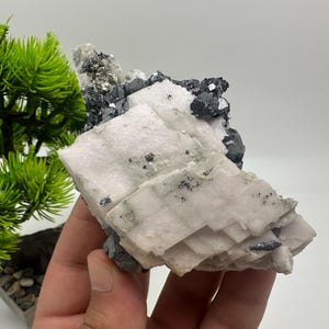Calcite Galena Sphalerite Pyrite Mineral Specimen: Borieva Mine, Bulgaria