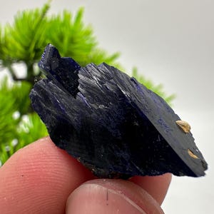 Crystallized Azurite-Kerrouchen,Morocco-Blue Azurite Specimen-High Quality Blue Azurite-Azurite Mineral Specimen, gemmy,lustrous of Azurite