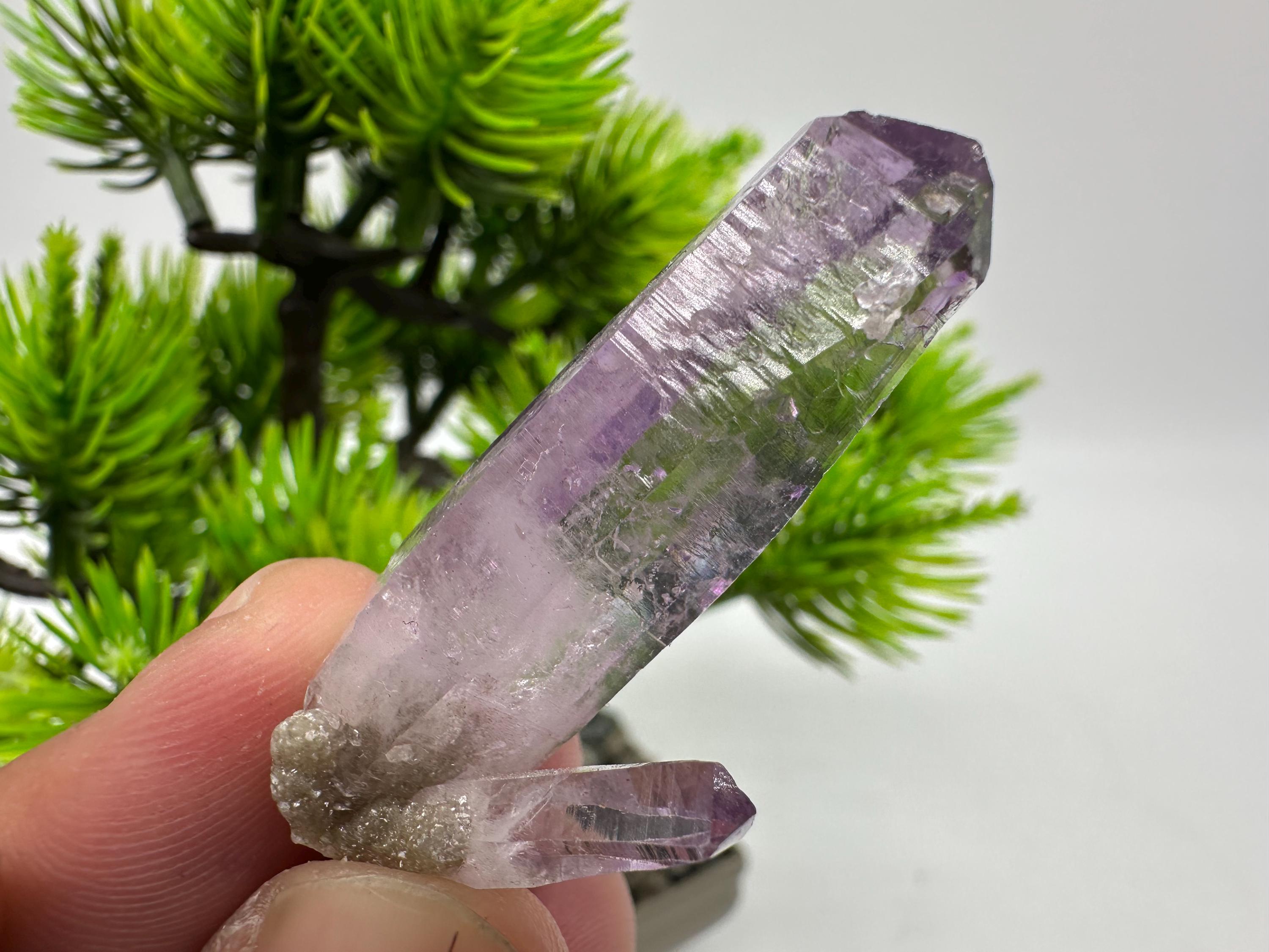 ベラクルス産アメジスト結晶クラスター、メキシコ鉱物標本 - Etsy 日本