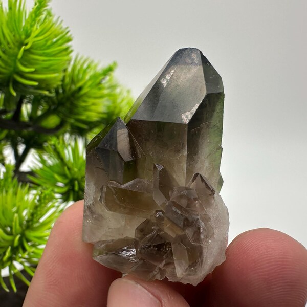 Rare Smoky Quartz Crystal Cluster, Mineral Specimen from Brazil