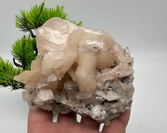 Op de afbeelding: Een cluster van perzik-kleurige kristallen met een ruw, getextureerd oppervlak. De kristallen zijn geplaatst op een donkere, gespikkelde basis. Groene bladeren zijn zichtbaar op de achtergrond. Dit is een natuurlijk mineraal specimen.