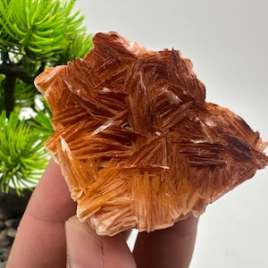 Wunderbarer Baryt mit Cerussit auf Galena aus Marokko, Bleikristall, Bleikristall,Cerussit Kristall,Kristalle, Bleikristall,