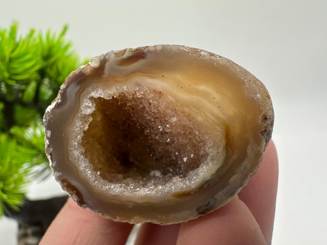 Natural Agate Geode – Crystal Cave Formation | Collector Mineral ...