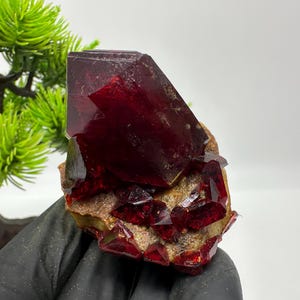 May include: A vibrant, deep red crystal formation with a large, faceted central structure and smaller, sparkling crystal clusters. The mineral rests on a rough, tan-colored matrix, showcasing its natural beauty. The crystal is a striking example of mineral specimens.