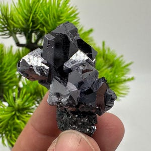 Stunning Galena Spinel Law on Sphalerite,From Borieva mine,Madan,Bulgaria,collection mineral specimen,rare crystal,Galena,Spinel law Galena