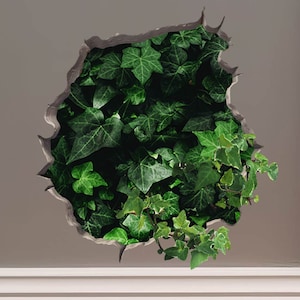 3D Magic Hole Wall Decal Sticker Removable Wall Decoration Awesome Gift Idea Baseboard Wall Sticker Decal Ivy plant come out from Hole Wall