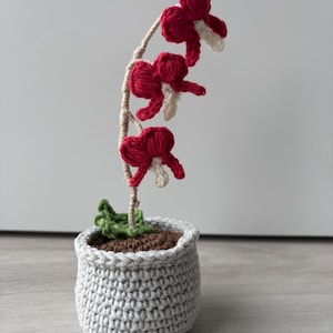Virkmönster – Bleeding Hearts-blomma i kruka – PDF-nedladdning