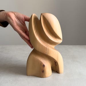 Scultura astratta in legno / Arte organica intagliata a mano / Decorazione d'interni minimalista / Forma di seme