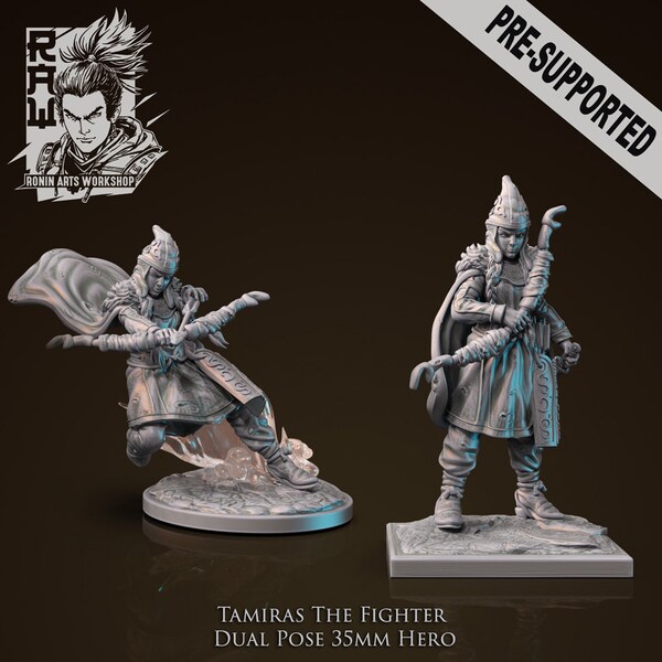 Tamiras der Kämpfer 3d gedruckte Sammler Miniatur, 35 mm, Tabletop Miniaturen, Pathfinder, Dungeons und Drachen, dnd