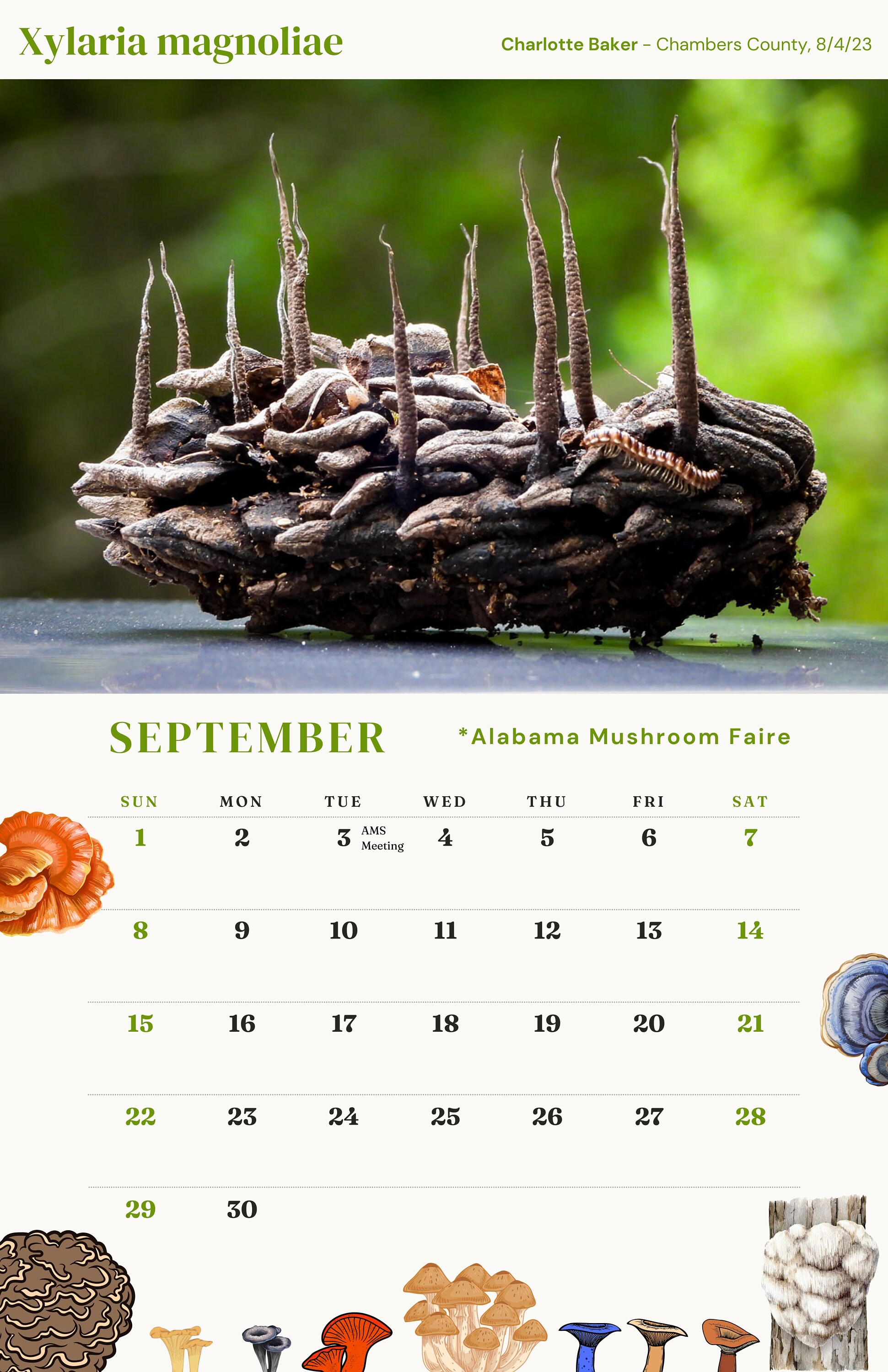ALABAMA MUSHROOM CALENDAR 2024 Etsy