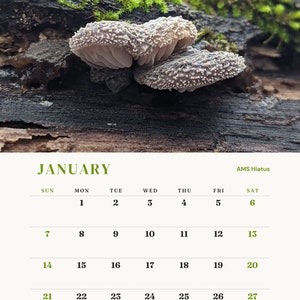 ALABAMA MUSHROOM CALENDAR 2024 image 2