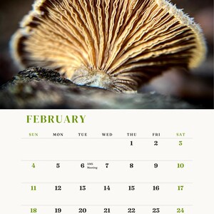 ALABAMA MUSHROOM CALENDAR 2024 image 3