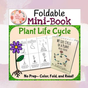 Livro imprimível sobre o ciclo de vida de uma planta | Ciclo de vida das plantas para crianças | Artesanato infantil | Aula de cultivo de plantas | Aula de ciências | Download digital