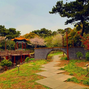 Pagodes tuin Jeju Eiland Zuid-Korea
