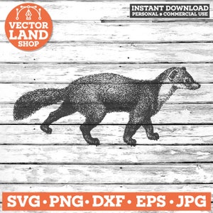 Marten Rabbit Svg Marten Svg, Martes Svg, Fur Svg, Forest Svg, Animal Printable, Marten ...
