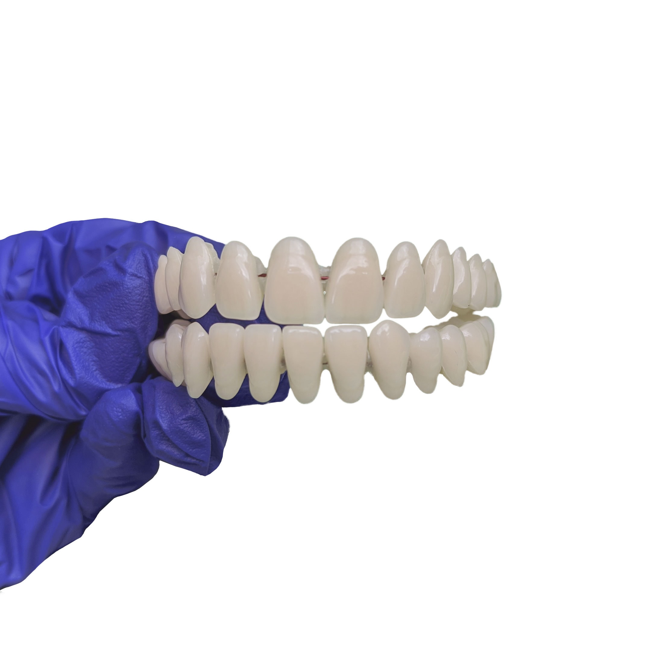 false teeth care