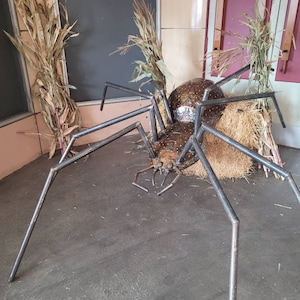 Huge Spider