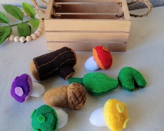 Nature Shapes Felt Plush Toys Log, Acorn, Leaf, Lily Pad, Mushroom in Small Wooden Crate Kids Learning Nature