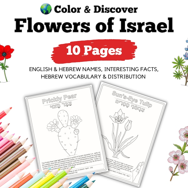 10 flores israelíes icónicas, páginas para colorear para el aula, viajes a Israel, Tu B'shvat, Pascua, Yom Ha'atzmaut, Botánico, Descarga instantánea