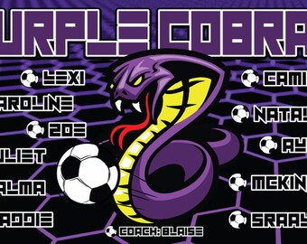 Puede incluir: Gráfico de cobra morado y amarillo con el texto "PURPLE COBRAS" en la parte superior. El gráfico está rodeado de un patrón de panal negro con balones de fútbol blancos y los nombres de los jugadores: Lexi, Caroline, Juliet, 203, Salma, Maddie, Camila, Natalie, Avery, McKinley, Sraayha. El texto "COACH: BLAISE" está en la parte inferior.