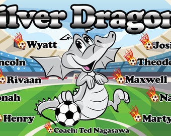 Puede incluir: Un dragón plateado con un balón de fútbol, rodeado de un campo de fútbol con los nombres de los jugadores y el nombre del equipo "Silver Dragons".