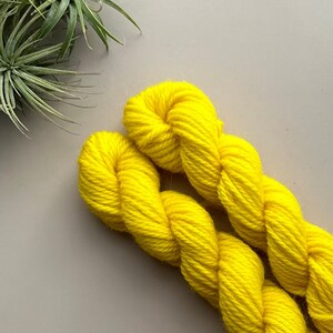 HMYC Worsted | Hand Dyed Classic Wool - Non-Superwash 100% Wool Yarn | 38yd / 20g Mini Skeins